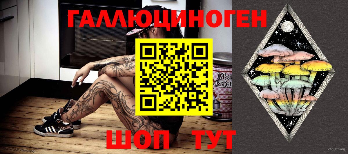 Северобайкальск  Галлюциногенные грибы MAGIC MUSHROOMS  Вход с VPN 